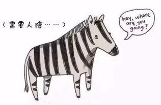 网红吃瓜君斑马,揭秘娱乐圈幕后真相