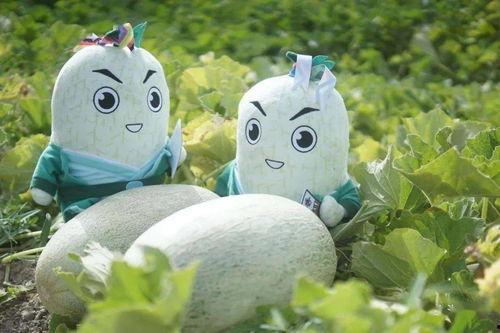 2022年网红吃瓜人物,揭秘娱乐圈幕后风云