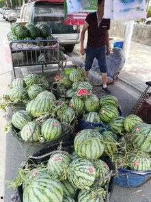 莱阳网红吃瓜事件