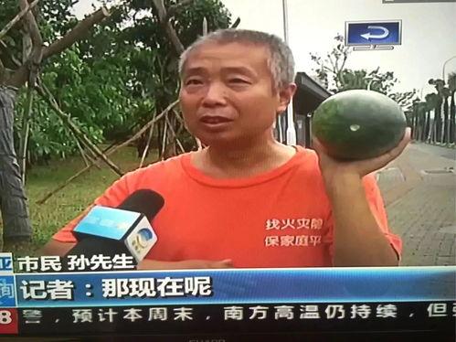 网曝吃瓜热门事件情侣,真相与谣言的交织