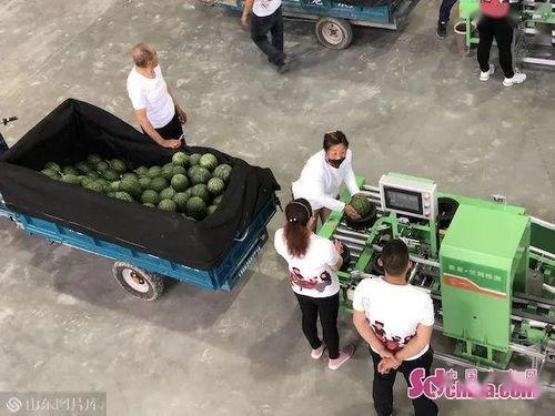 网购翻车现场带你吃瓜,一场惊心动魄的“吃瓜”之旅