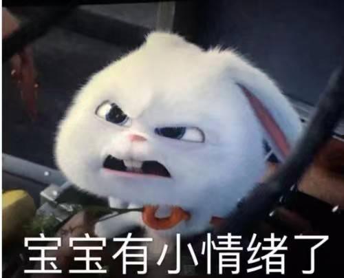 剑网3吃瓜兔子表情包图片,吃瓜兔子表情包，萌动江湖