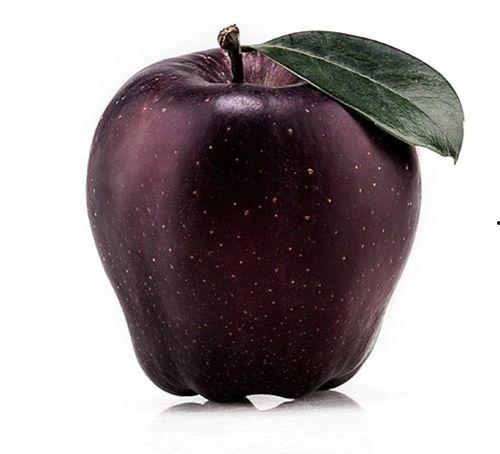 黑网吃瓜料网是啥苹果