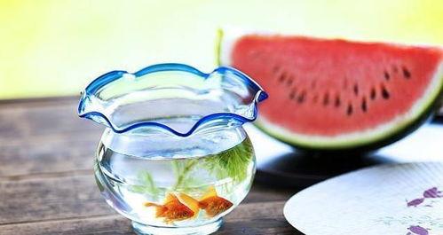 暗吃瓜网,揭秘娱乐圈幕后真相，带你走进明星私生活