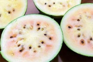 静海吃瓜的网红叫什么名字,揭秘网红“静海吃瓜”的爆红之路