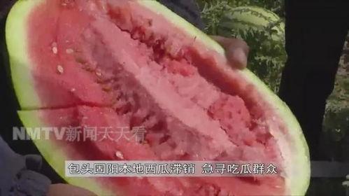 老王吃瓜官网首页进入,带你领略网络娱乐新风尚