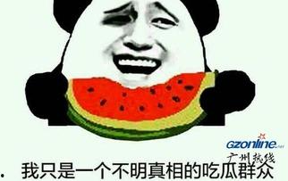 吃瓜群众关系网官网,网络舆论场中的社交图谱